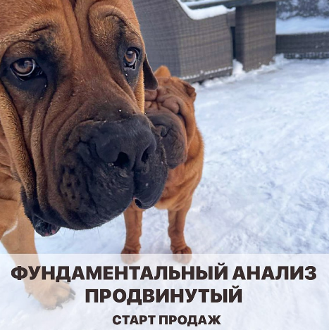 [Vesperfin] Арина Веспер - Фундаментальный анализ _0.png